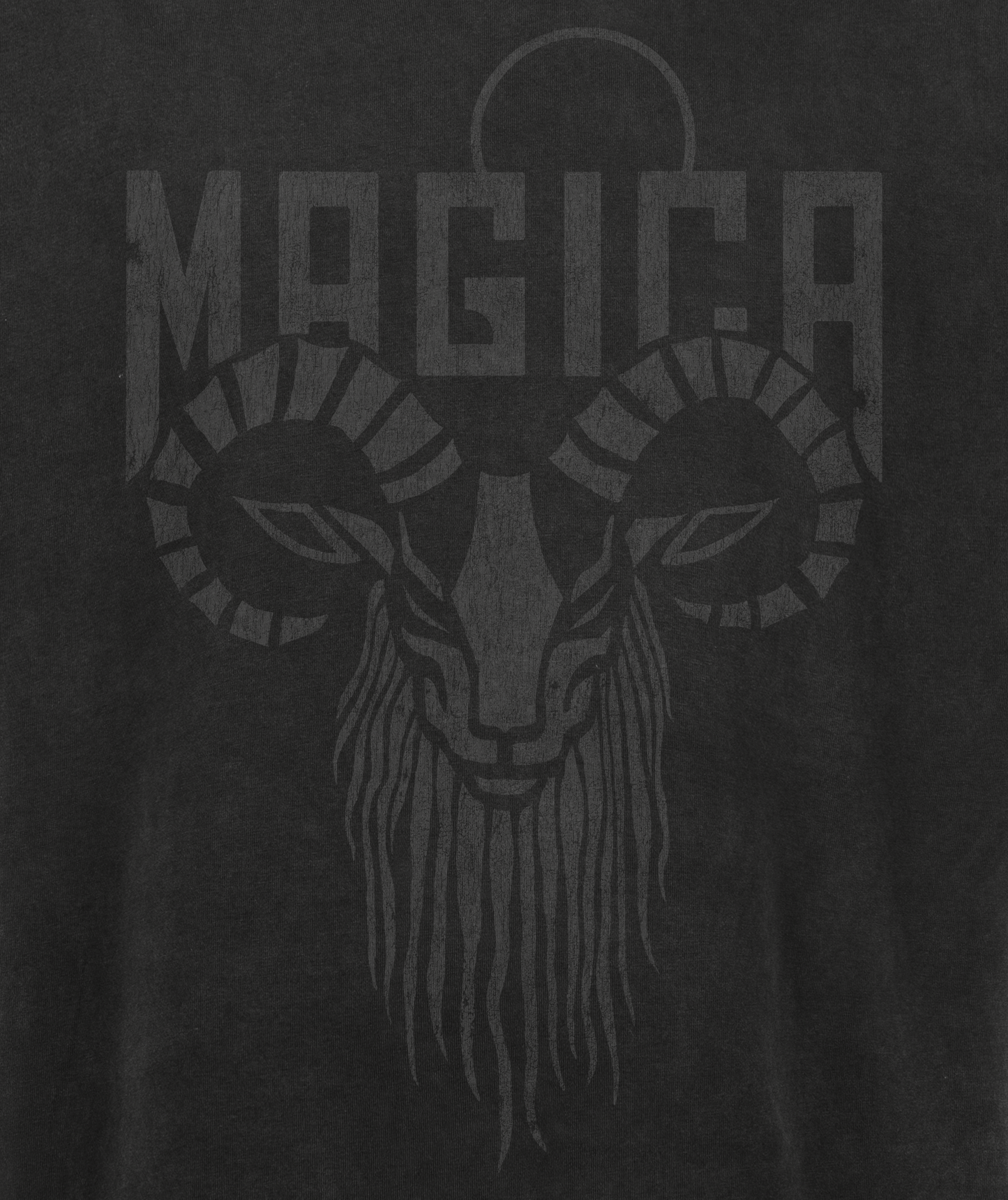 ARIES Zodiac T-shirt