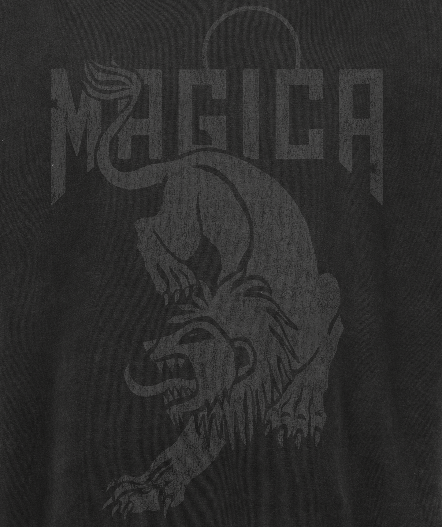 LEO Zodiac T-shirt