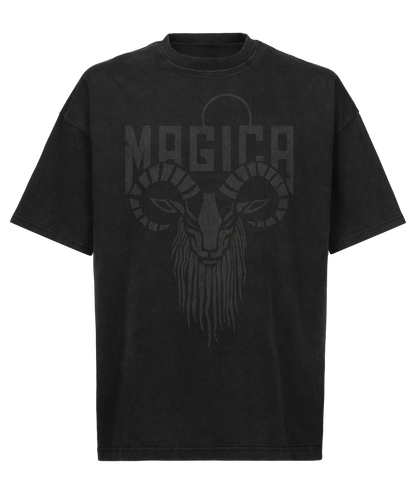 ARIES Zodiac T-shirt