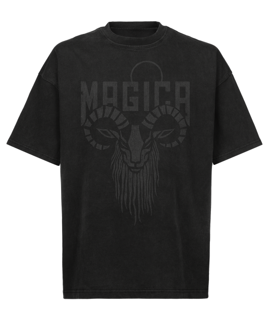 ARIES Zodiac T-shirt